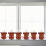 pots fleurs mini serre brun orange transparent couvercle humidité pelle réception base plantaions intérieurextérieur