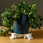 supports pots fleurs noirs modernes plantes pot set opaques