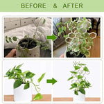 support plante blanc moderne cercles géométriques opacité intérieur extérieur decoration jardin