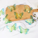 guirlande lumineuse papillons transparents violet bleu vert rose anniversaire mariage noël féerique