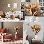 bouquet fleurs séchées boho chic herbe pampas décor table maison anniversaire mariage rustic
