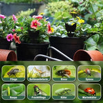 piège mouches feuille noire adhésive externe protection plantes minimalisteextérieur controle insectes 50pcs