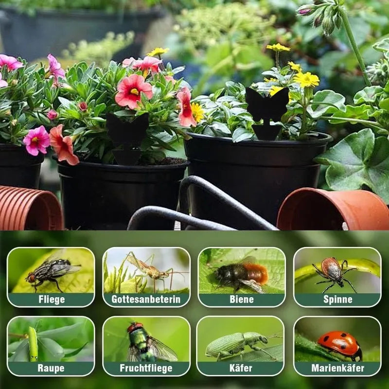 piège mouches feuille noire adhésive externe protection plantes minimalisteextérieur controle insectes 50pcs