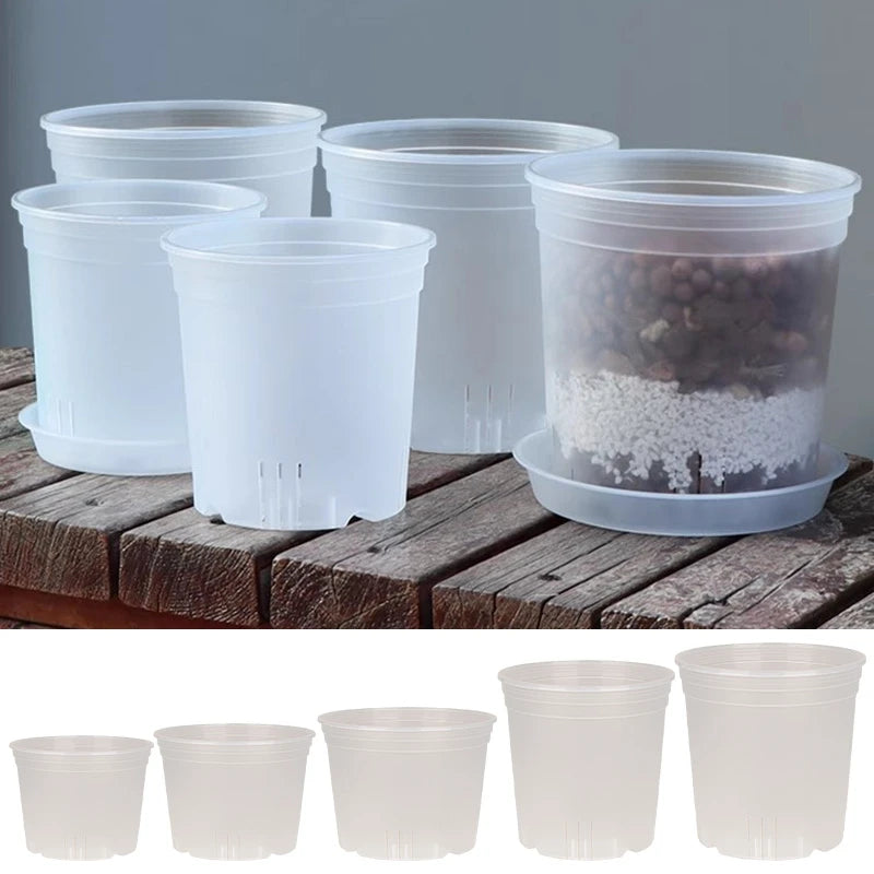 pots semis blancs modernes lisses non transparents couvercles perforations variété tailles jardin