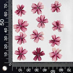 fleurs séchées violet rose blanc décor maison DIY craft nail art maquillage artisanales kit