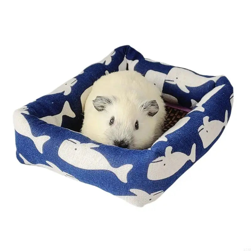 lit hamster confortable moderne fraises roses fond rose clair marron clair blanc