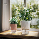 jardinière autoarrosage transparente moderne pot plissé hydroponique plante verte minimaliste