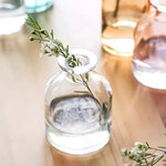 vase verre transparent moderne rose décoration intérieur hydroponique fleuri table studio