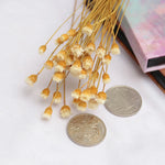 ornements photographie bouquets artificiels couleurs vives naturel rustique fixations ruban jute fond photo
