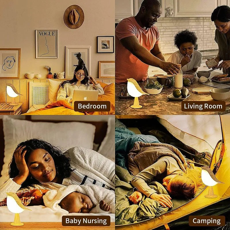 Comparaison des 3 températures de couleur de la lampe oiseau