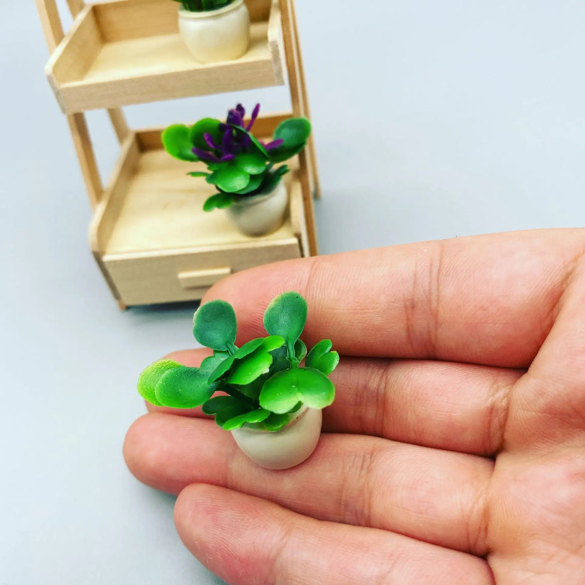 étagère plante moderne mini pots bois blanc succulentes ornement verdureintérieur