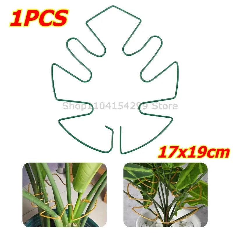 Support tiges plantes or spirale moderne fixations adhésives grandes plantes intérieures pothos philodendron monstera