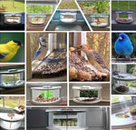 mangeoire oiseaux fenetre transparente moderne blanche arrondie merle bleu mésangesparrows junco colibri graines tournesol