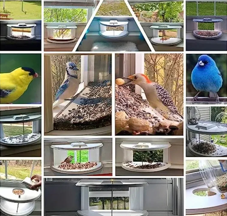 mangeoire oiseaux fenetre transparente moderne blanche arrondie merle bleu mésangesparrows junco colibri graines tournesol