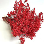 décoration maison bouquet fleurs séchées rose blanches vase naturel rustique