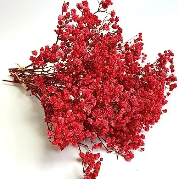 décoration maison bouquet fleurs séchées rose blanches vase naturel rustique