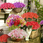 bouquet fleurs artificielles violettes modernes décoration intérieure maison jardin événement festive minimaliste