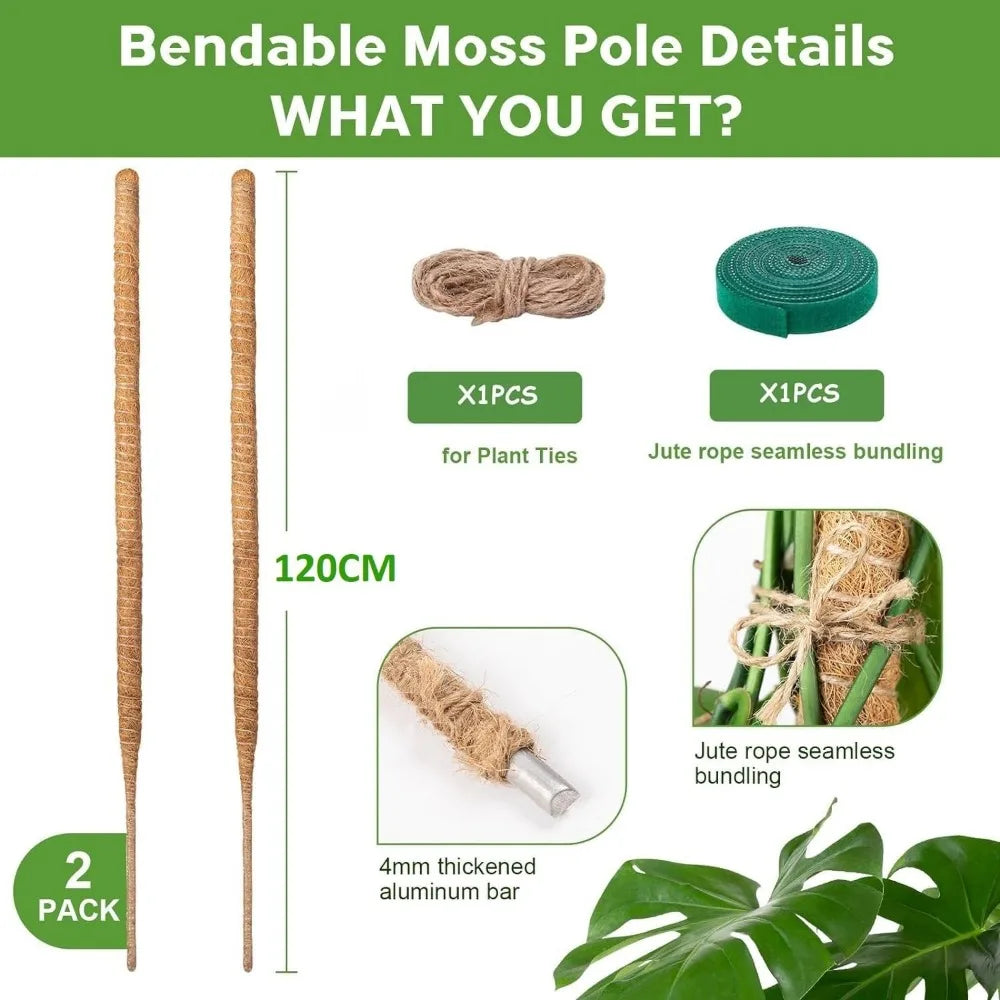 poteaux support plantes mousse coco pliables osier décoration jardin intérieur minimaliste naturel