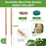 poteaux support plantes mousse coco pliables osier décoration jardin intérieur minimaliste naturel