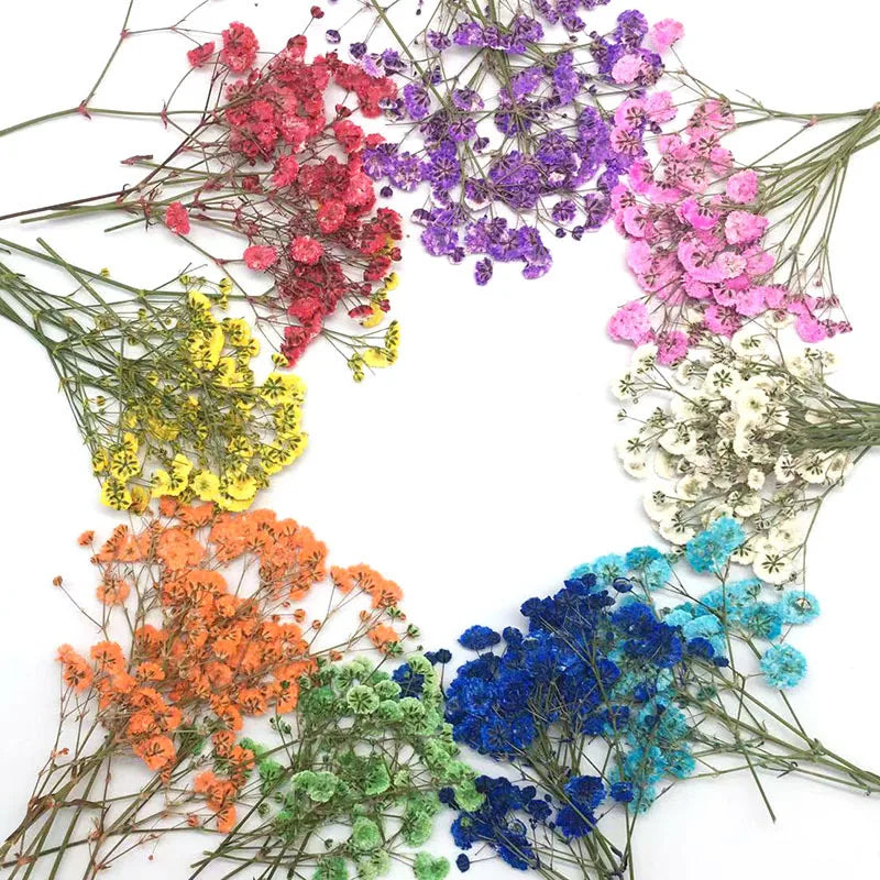 fleurs séchées kit 120 pièces variées blanc bleu orange violet rose rouge vert jaune