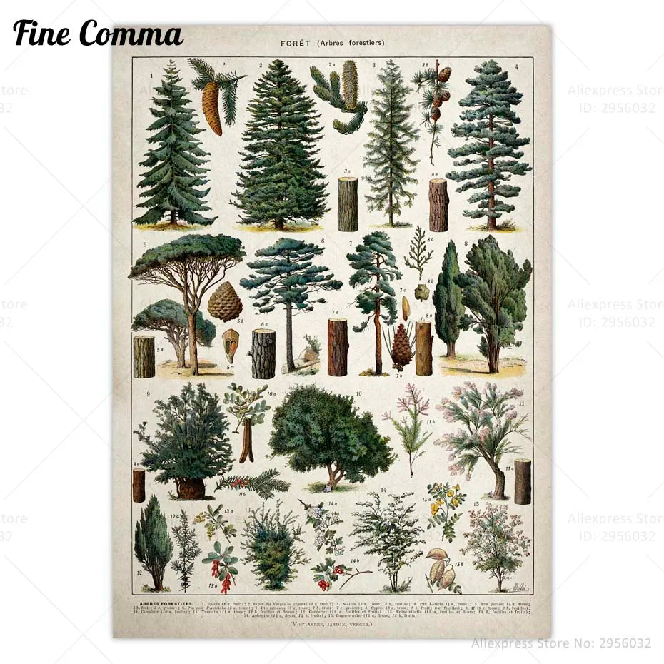 Impression paysage forêt vintage sur toile