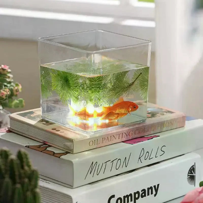 vases carrés transparents modernes graine tulipe plante succulente poisson rouge livres