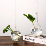 vases suspendus verre transparent modernes minimalistes cordelière plantes vertesextérieurintérieur