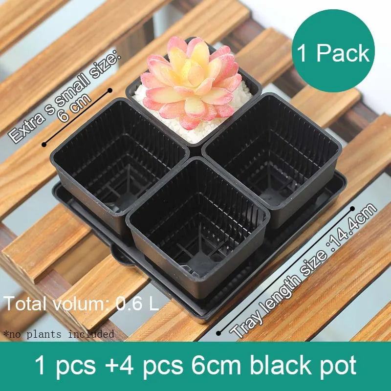 pots succulentes blancs modernes entailles drainage 6cm 7cm cactus pierres