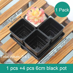 pots succulentes blancs modernes entailles drainage 6cm 7cm cactus pierres