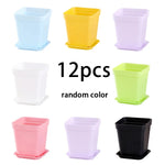 pots fleurs carrés multicolores plastique violet bleu jaune vert moderne adhésif 7cm 8cm 5cm