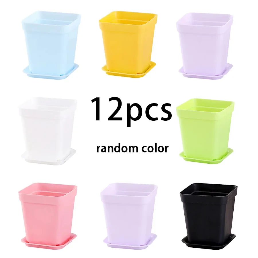 pots fleurs carrés multicolores plastique violet bleu jaune vert moderne adhésif 7cm 8cm 5cm