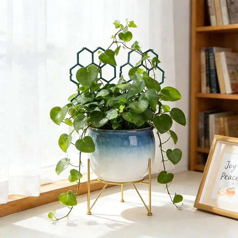 supports plante grimpante balcon treillis fleur poteau pothos rose hexagonnel décoration jardin moderne minimaliste
