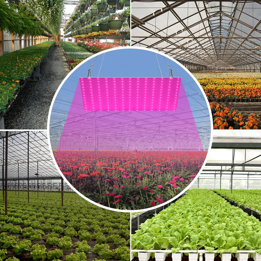 lampe led culture plantes rose rouge bleu moderne grille led crochets adaptateurs eu us