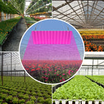 lampe led culture plantes rose rouge bleu moderne grille led crochets adaptateurs eu us
