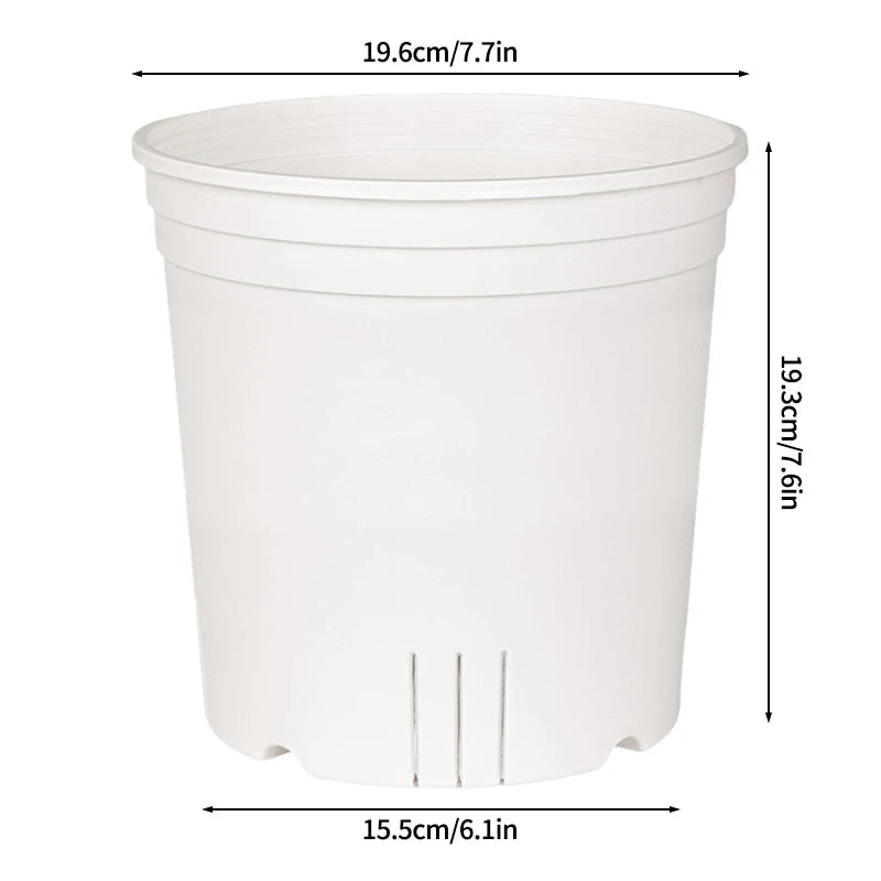pots semis transparents blancs modernes grille drainage plantes