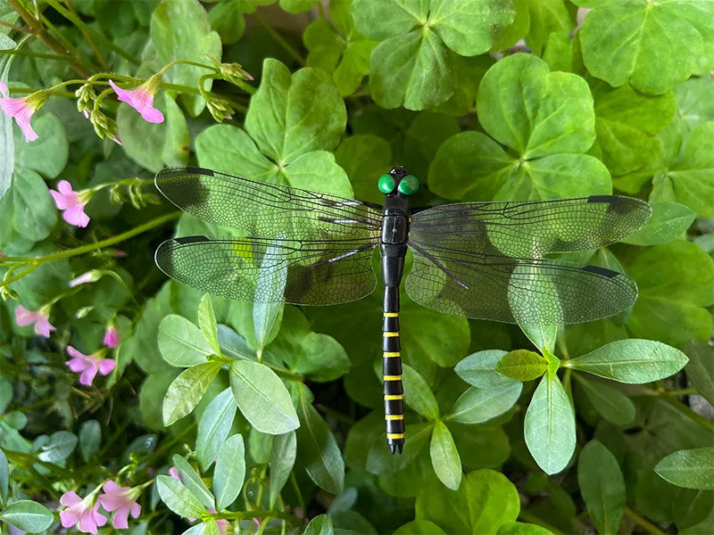 décoration extérieure dragonfly répulsif moustiques naturel sans chimie vert translucide jardin tringle
