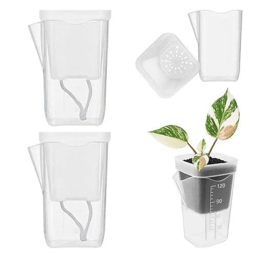 pots plantes arrosage auto transparent cordelettes capillarité propagation fleurs semis jardinière moderne minimaliste