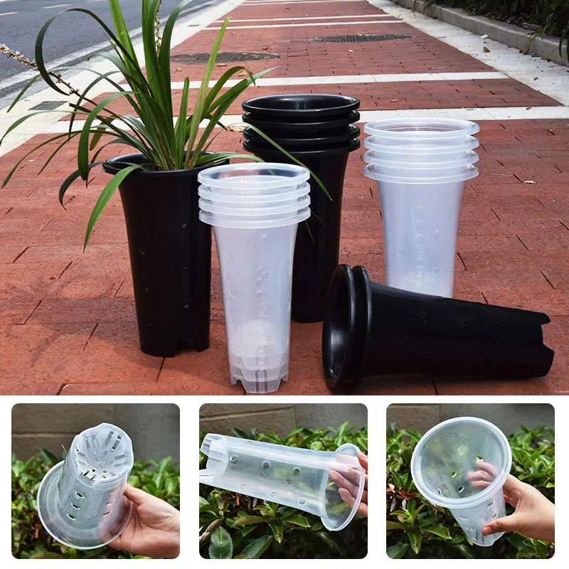 pots plante moderne perforés noir transparent profonds jardinintérieur 10pcs 5pcs