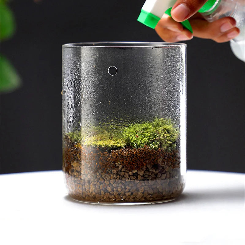 terrarium moderne transparent mousse gravier petite maison champignon figurine 12x12cm 12x17.5cm