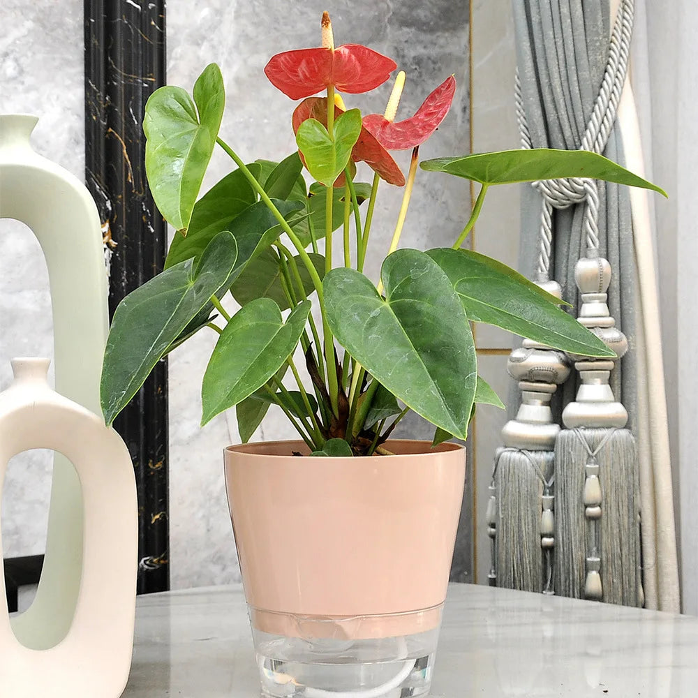 pot fleurs transparent bas blanc rose pâle vert clair moderne annuaire flexible