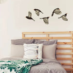 Arrangement des 5 oiseaux sur un mur blanc