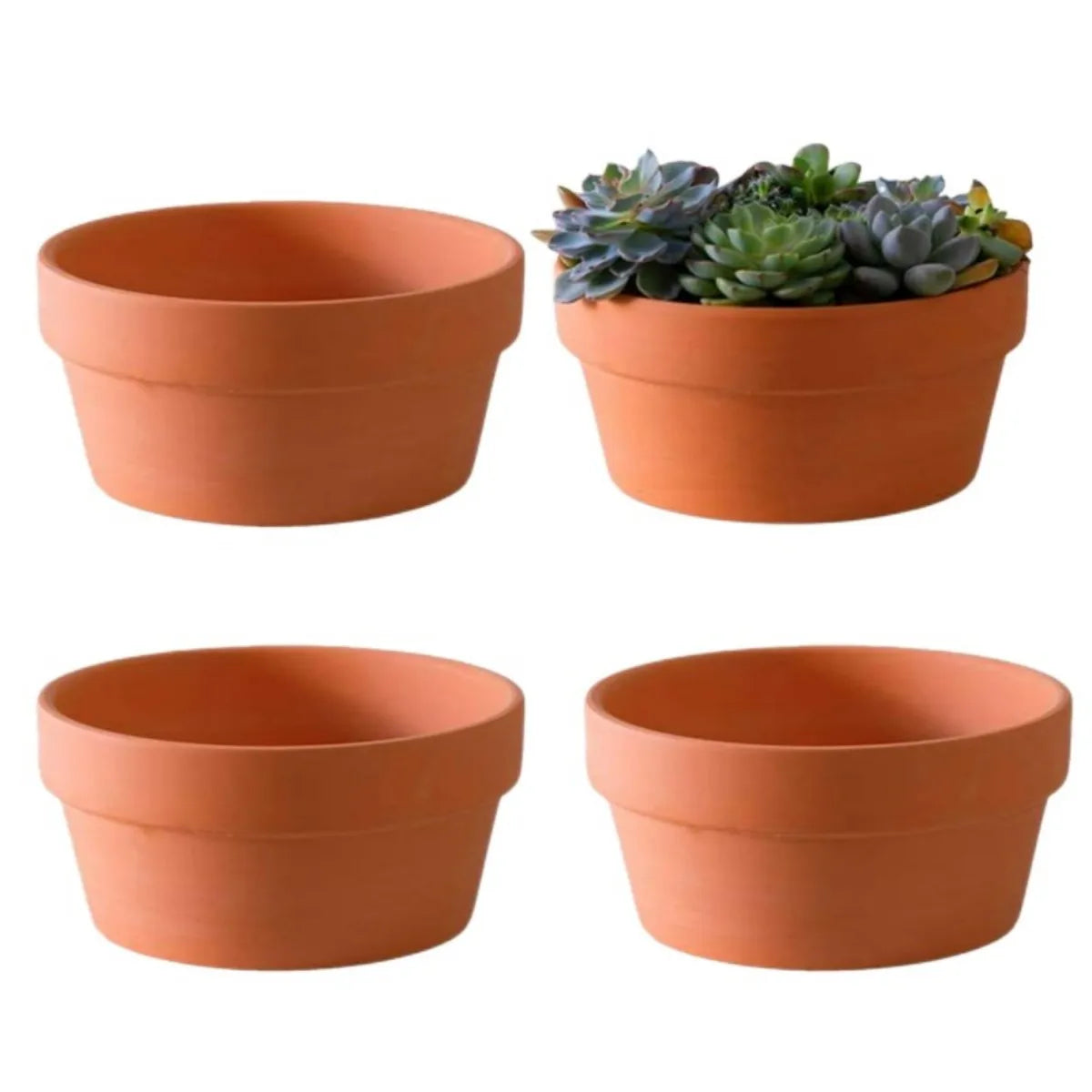 Pots fleurs terre cuite 11.5cm diamètre rustique drainage plantes succulentes pièces orange