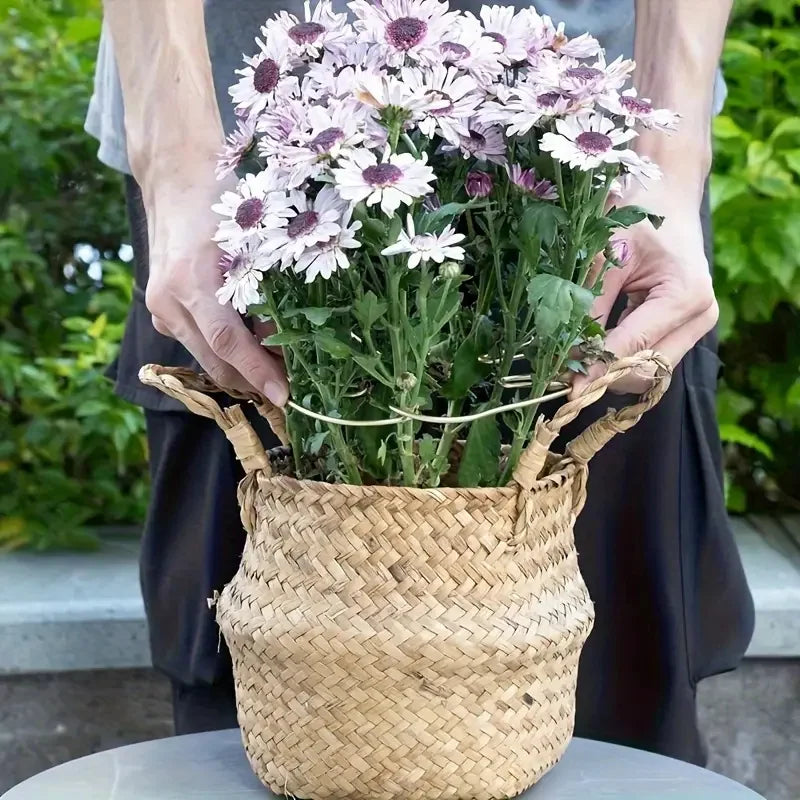 Crochet fer forgé antirouille jardin