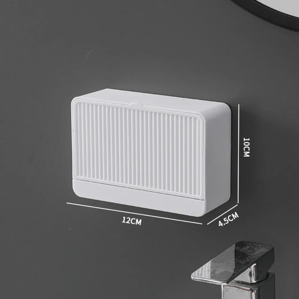 boîte savon moderne blanche rayée adhésive petite plante artificielle