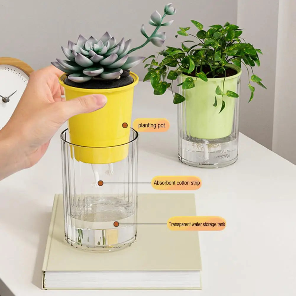 pot plante transparent auto arrosage plante verte absorbant coton conteneur eau moderne minimalisteintérieurextérieur