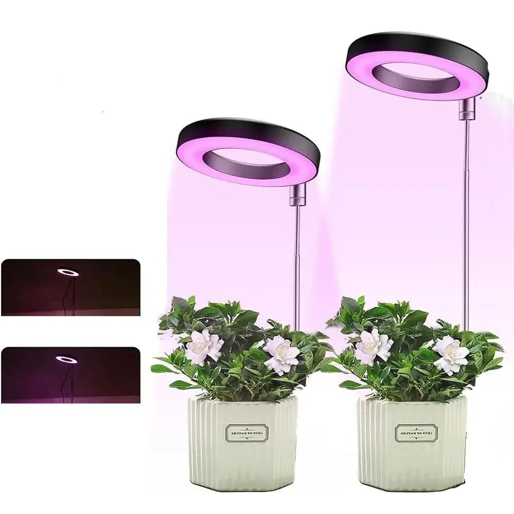 lampe led plante noire blanche rose moderne minimaliste réglable usb autonomie