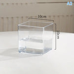 mini jardins verre transparent plante pierre sucre coloré moderne minimaliste