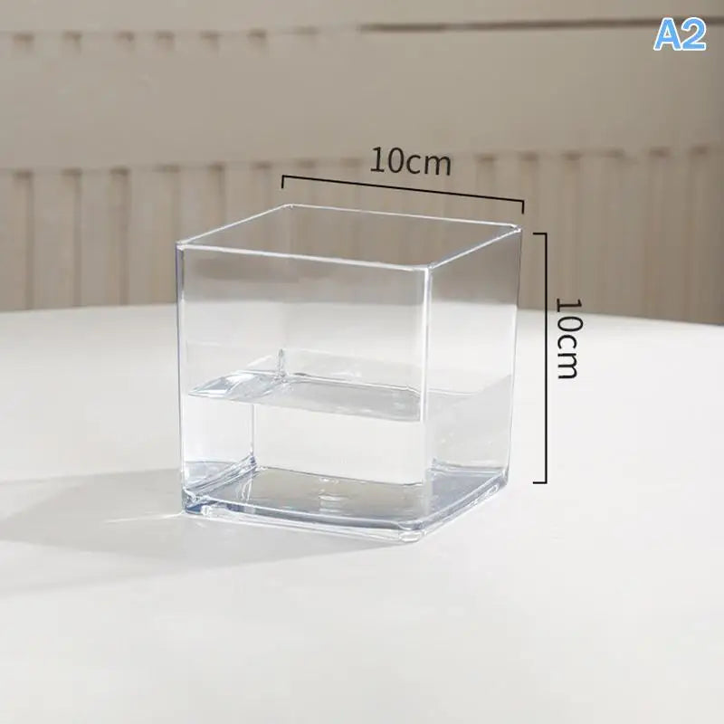 mini jardins verre transparent plante pierre sucre coloré moderne minimaliste