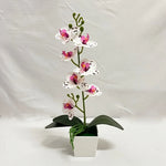 orchidées artificielles fleurs blanches roses intérieur décoration maison bouquet polyesters modernes minimalistes