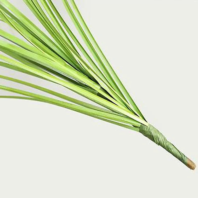 plante artificielle verte feuilles fines moderne décoration intérieure base noire 30cm 40cm 50cmextérieur